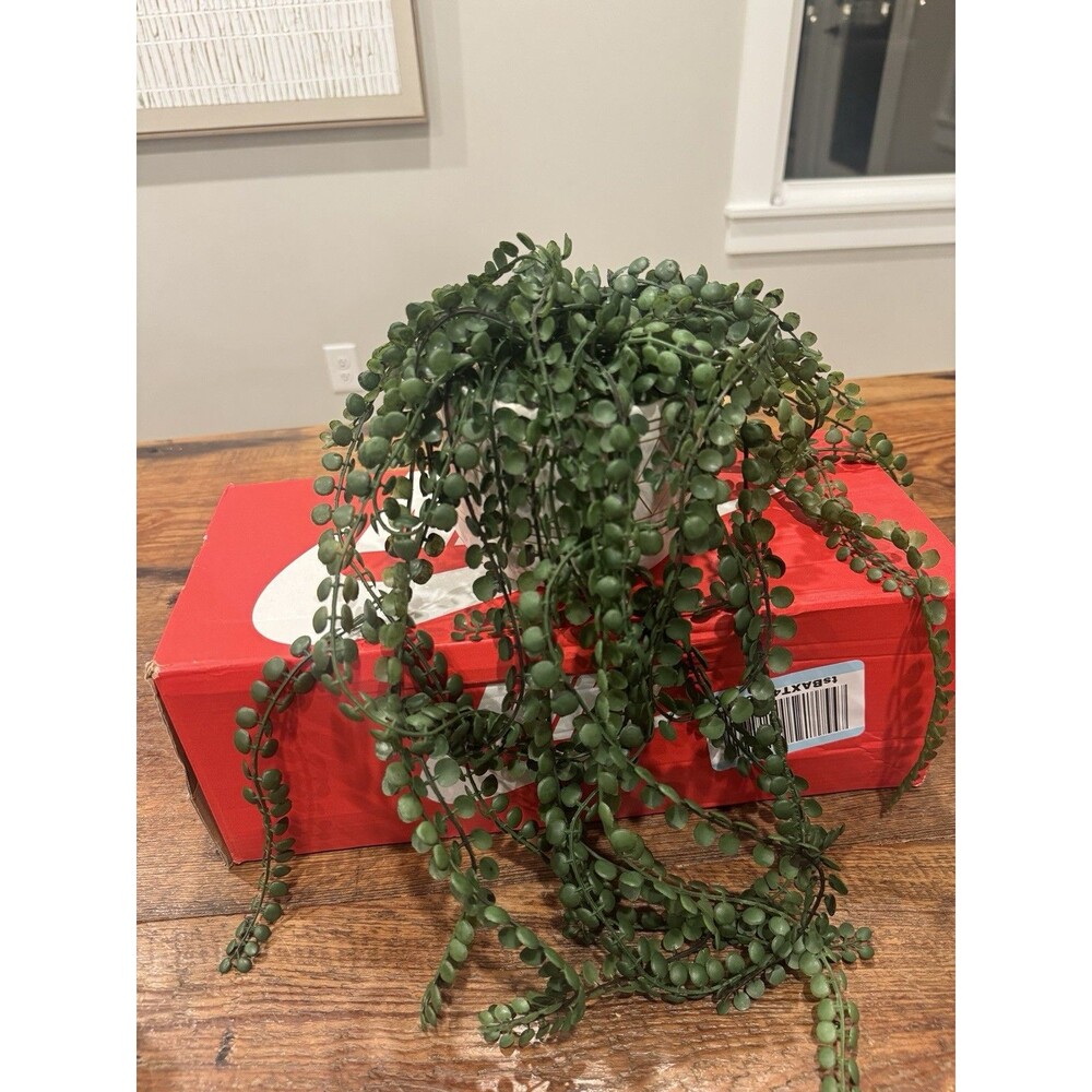 HomeGoods Faux String of Nickels Trailing Plant Ceramic Pot Green